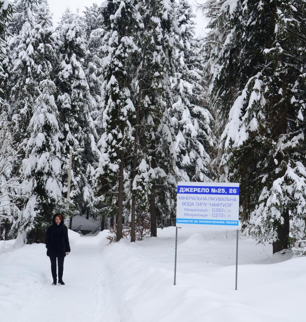 Zelenyy Bir Hotel Skhidnytsia Exterior photo
